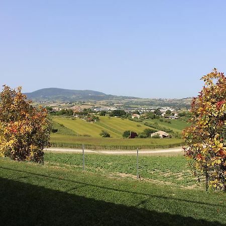 Villa Belvedere Degli Ulivi Osimo Luaran gambar