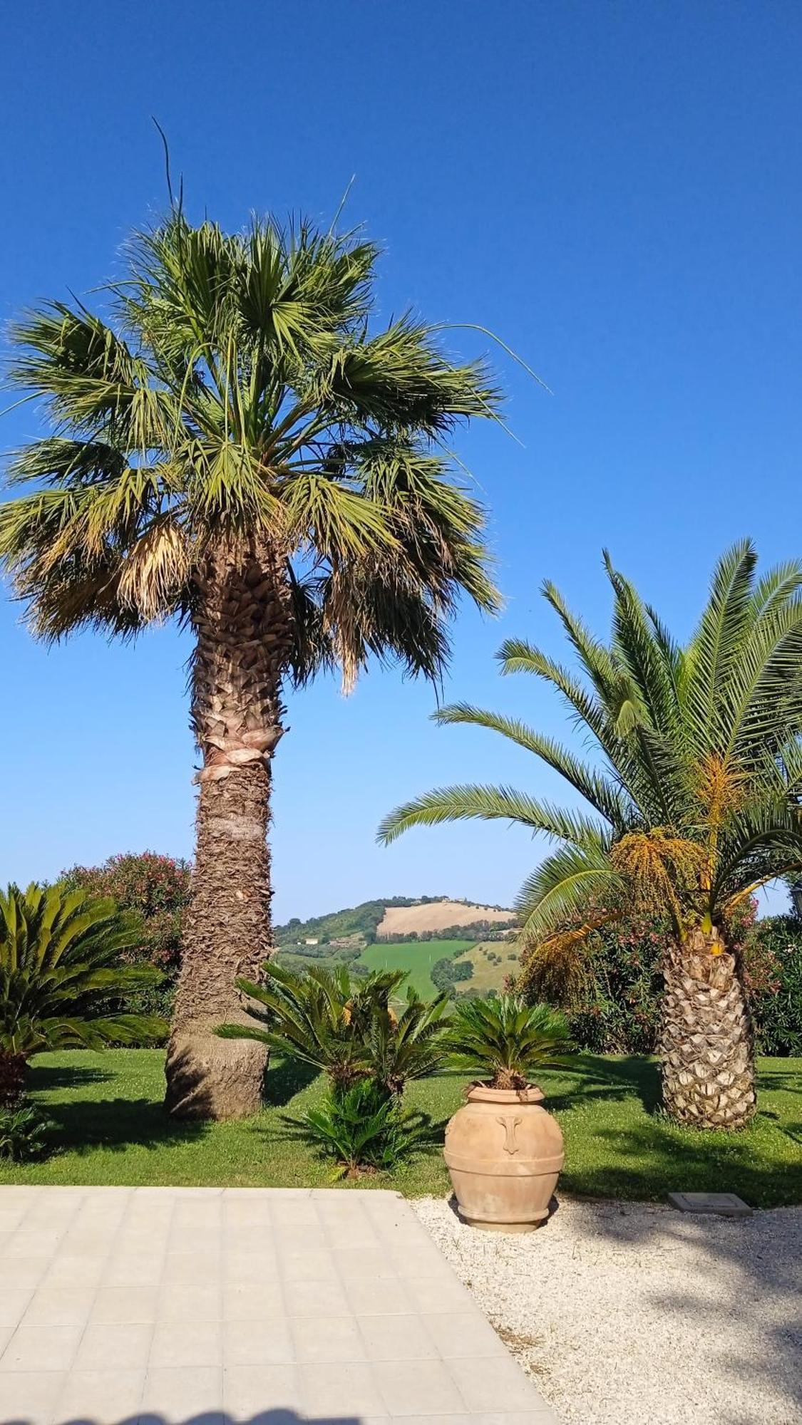 Villa Belvedere Degli Ulivi Osimo Luaran gambar