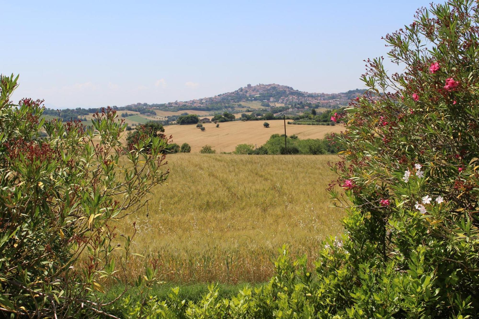 Villa Belvedere Degli Ulivi Osimo Luaran gambar