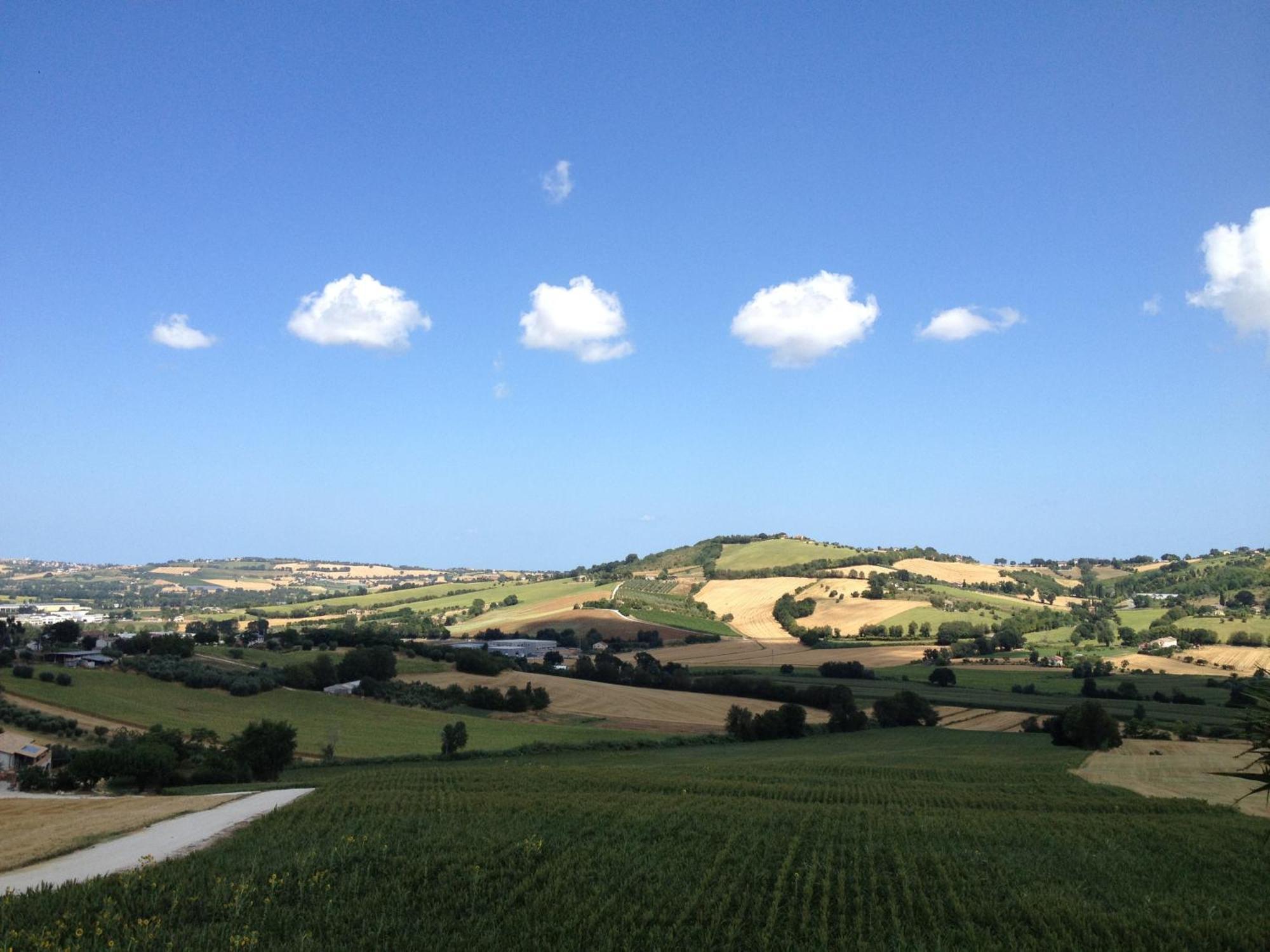 Villa Belvedere Degli Ulivi Osimo Luaran gambar