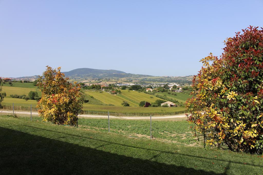 Villa Belvedere Degli Ulivi Osimo Luaran gambar